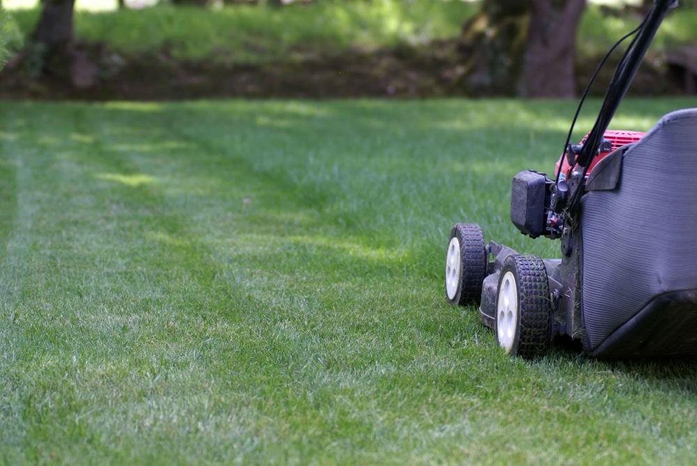machine de jardinage